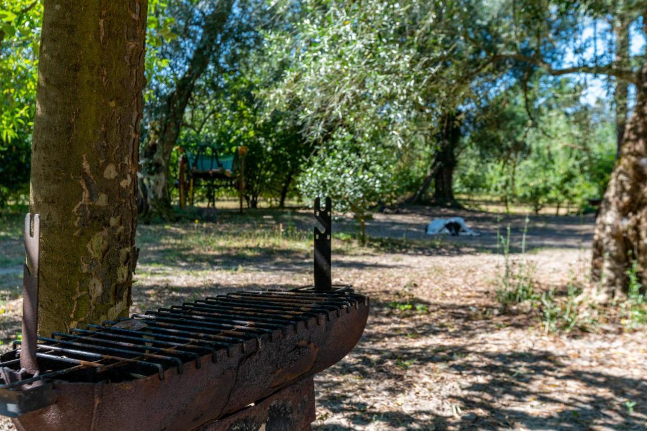 منزل الضيف سيلوريكو دي باستو  في Chale Da Quinta "Lavoura Da Bouca - Fruta Bio" المظهر الخارجي الصورة