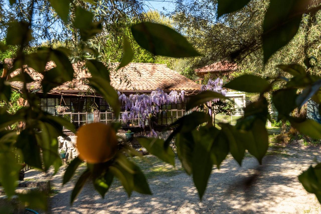 منزل الضيف سيلوريكو دي باستو  في Chale Da Quinta "Lavoura Da Bouca - Fruta Bio" المظهر الخارجي الصورة